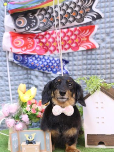 20230519モカちゃん